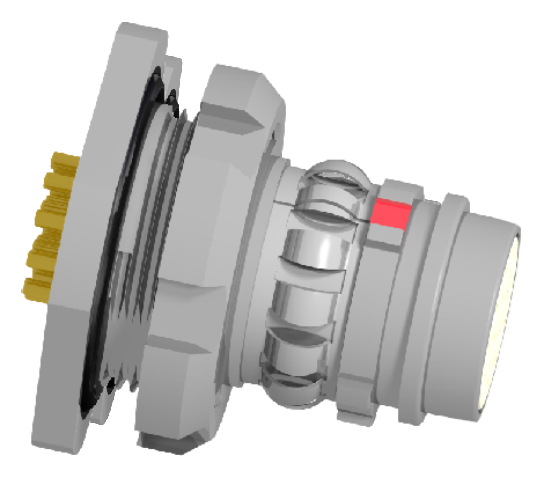 TL2Y1BBGWN116K-1
